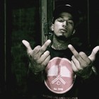 Picture for song 'We Back *Snippet*' by artist 'DopeWings'