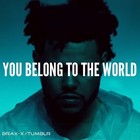 Picture for song 'Belong To The World (FREE DL)' by artist 'Downtown Music'