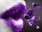 Picture for song 'PURPLE HEART KISSES' by artist 'Dr. Bob's Jazz - Benefit Boppin' Quartet - JBBQ'