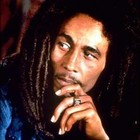 Picture for song 'Cool Ya Tempah REGGAE BANGA (Dreamandlead)' by artist 'Dream and Lead'