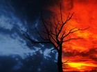 Picture for song 'The Job' by artist 'Dreamcatcher The Angel of Death'