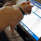 Picture for song 'Chained Lizard vocals' by artist 'Drumsynth'