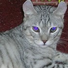 Picture for song '01 Clear Riddim 1' by artist 'EBR1'