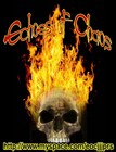 Picture for song 'Wait Inside' by artist 'EchoesofChaos'