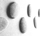 Picture for song '10 Stepping Stone feat. Mantis 8' by artist 'EckzKal'