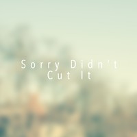 Picture for song 'Sorry Didnt Cut It' by artist 'Eddie Jag'