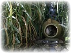 Picture for song 'Close your eyes' by artist 'Eddie J Lockwood'