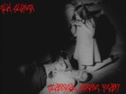 Picture for song 'Perfectly Destroyed' by artist 'Elk Cloner(US)'