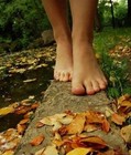 Picture for song 'MERCADO' by artist 'EntreCantos de Costa Rica'