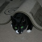 Picture for song 'Deeper Cuts/Smart Girls' by artist 'E.R.B. Power Trio'