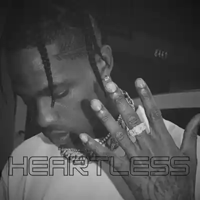 Picture for song 'Heartless' by artist 'EWSH'
