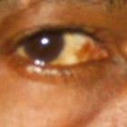Picture for song 'I caught your eyes' by artist 'fada'