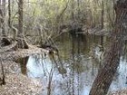 Picture for song 'Cunningham Swamps' by artist 'FAK BEATZ'