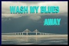 Picture for song 'Wash My Blues Away' by artist 'Freddy J'