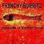 Picture for song 'City of Refuge (revisited 2011)' by artist 'Frenchy Burrito And The Folk Pistols'