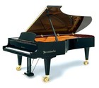 Picture for song 'Notes 14 Piano Piano 95.0 Bpm.mp3' by artist 'Frozen Ave'
