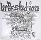 Picture for song '2-Infestation-Infestation' by artist 'FROZEN METAL THUNDER 1'