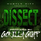 Picture for song 'DISSECT' by artist 'Gorilla Guap'