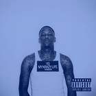 Picture for song 'YG TYPE BEAT 2014' by artist 'GUDDAHGIRLBEATS'