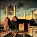 Picture for song 'Pigs On The Wing' by artist 'Hayley Mills'