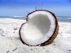 Picture for song '*NEW*Coconut Juice' by artist 'HipHopHeadBeats'