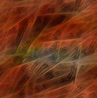 Picture for song 'Water The Oakland Bounce Track Mix' by artist 'hype and the Hollywood Church'