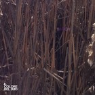 Picture for song 'Bih Boh' by artist 'Il colore del buio'