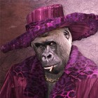 Picture for song 'Joseph Young(Gorilla Pimp)' by artist 'Illuminated ENT'