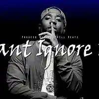 Picture for song 'Cant Ignore Us ' by artist 'illWillbeatzOfficial'