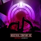 Picture for song '11 - I(C)I - The Weapon_(Ultramal RMX)' by artist 'Industrial Company Inc'