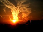 Picture for song 'Horizon' by artist 'Iodine Sky (IE)'