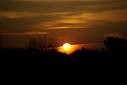 Picture for song 'Sunshine Pt.1 (Vocal)' by artist 'Jah Grasshopper'