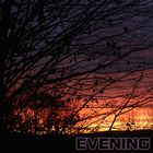 Picture for song 'Evening' by artist 'Jakki Jelene'