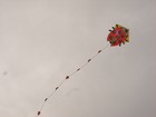 Picture for song 'ladybird' by artist 'jemima's kite'