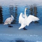 Picture for song 'YOUR LIFE IS BEAUTYFUL' by artist 'jim blund'