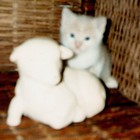 Picture for song 'The Night We Discovered the Cat' by artist 'Joe Aldworth'