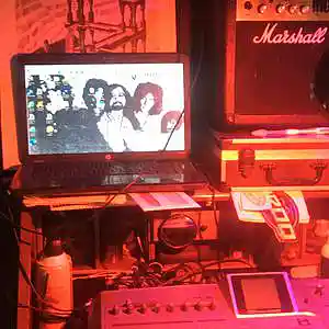 Picture for song 'Waldorf Hysteria' by artist 'Johanna Renfro'