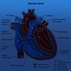 Picture for song 'Relax State' by artist 'Jomazel'