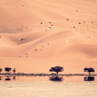 Picture for song 'kartel - mirage' by artist 'kartel beats'