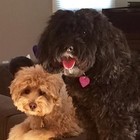 Picture for song 'Friends Forever' by artist 'Kathy Reynolds'