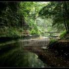 Picture for song 'Forgotin' by artist 'Kevo Productions'