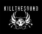 Picture for song 'Gasoline' by artist 'Kill the Sound'