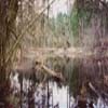 Picture for song 'Morning Myst (short version)' by artist 'K L Noonan'