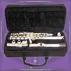 Picture for song 'Requiem for a Flute' by artist 'Larry Ludwick'
