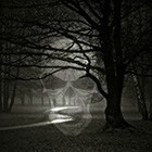 Picture for song 'Just Part Of The Path' by artist 'LaughingSkull'