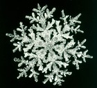 Picture for song 'La muse de la neige' by artist 'Legacy Oblivion'