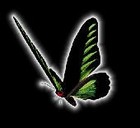 Picture for song 'A Song for Nicole' by artist 'LeRhay'