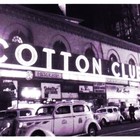 Picture for song 'COTTON CLUB (LONG VERSION)' by artist 'Levi Clust'