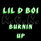 Picture for song 'Burnin Up' by artist 'Lil D Boi'