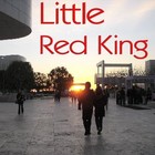 Picture for song 'A Pleasant Sunset' by artist 'Little Red King'